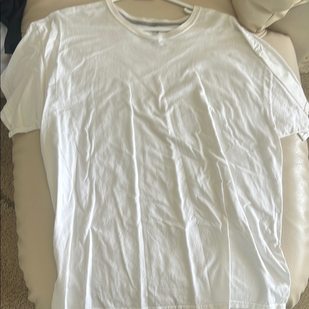 Fruit of the Loom Platinum Classic White Men's T-Shirt